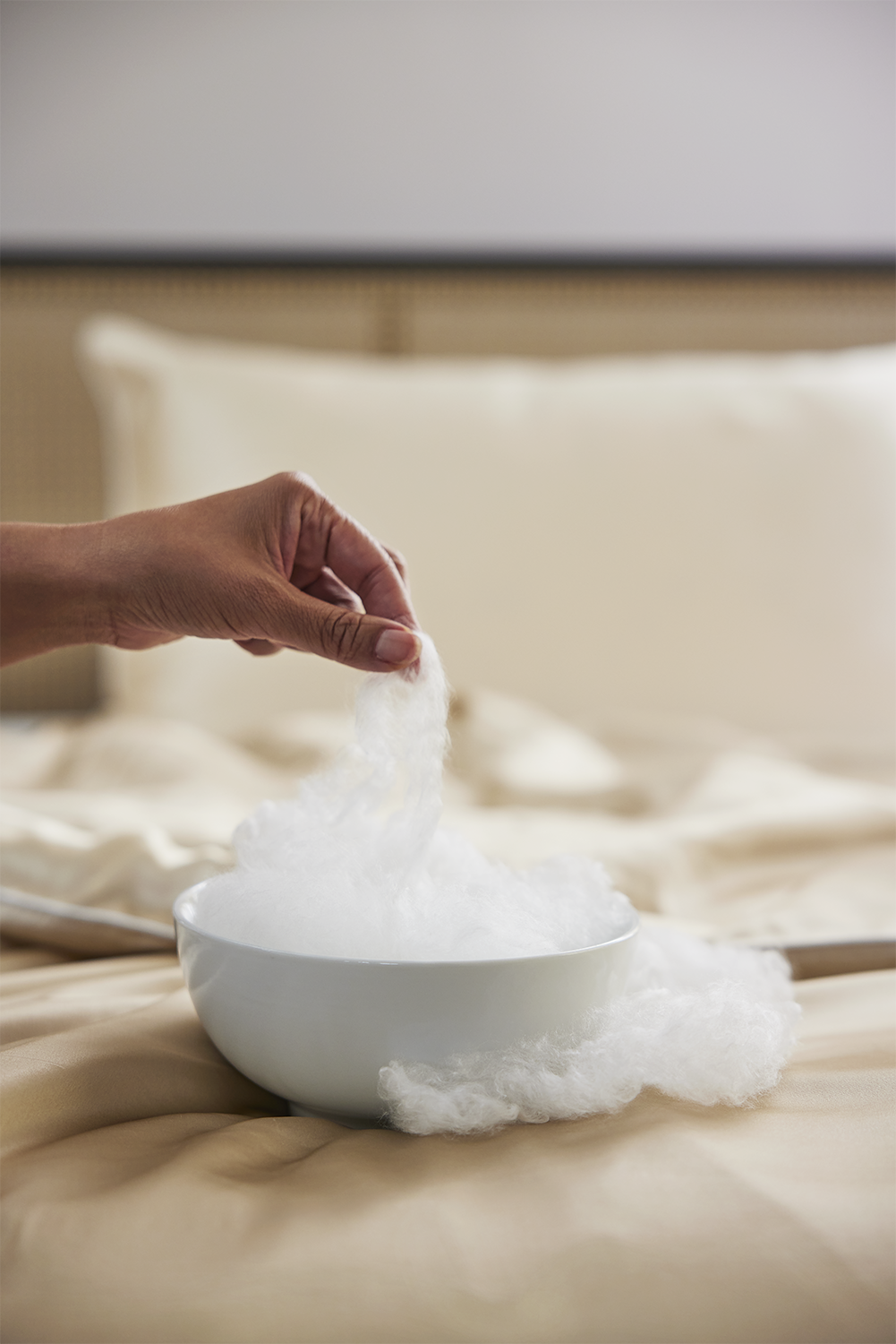 Fluffy Silk filling is being pulled from a bowl. A champagne silk bed is in the background of a post entitled: How to Clean a Silk Duvet: The Expert Guide to Stain Removal and Care