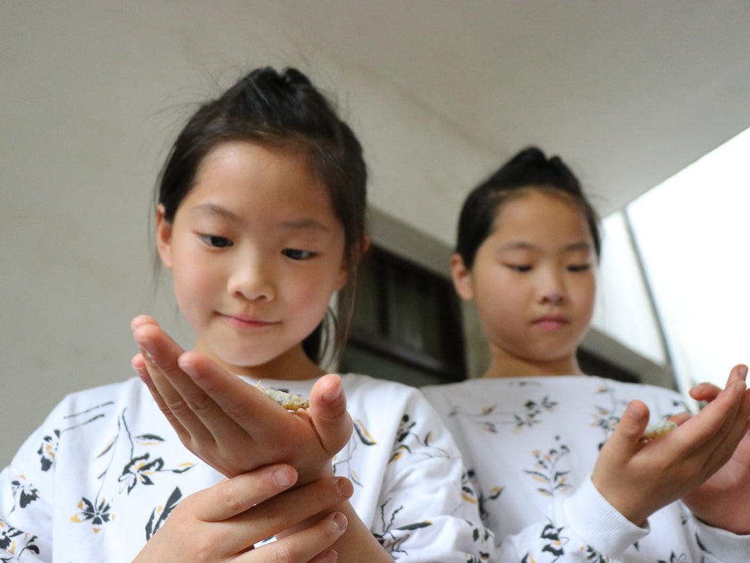Ling and Ching want to raise silkworms when they grow up. KAILU hopes to help preserve this fading craft so that they can someday.